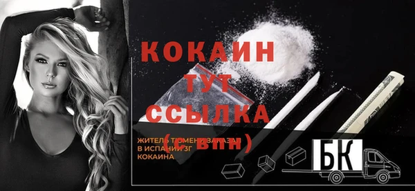 шишки Краснотурьинск