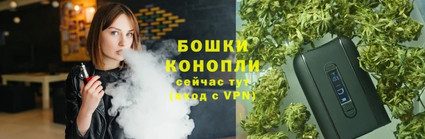 ГАЛЛЮЦИНОГЕННЫЕ ГРИБЫ Краснослободск