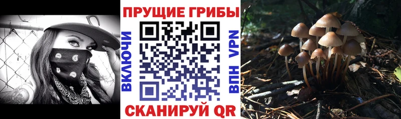 Псилоцибиновые грибы GOLDEN TEACHER  как найти закладки  Кудымкар 